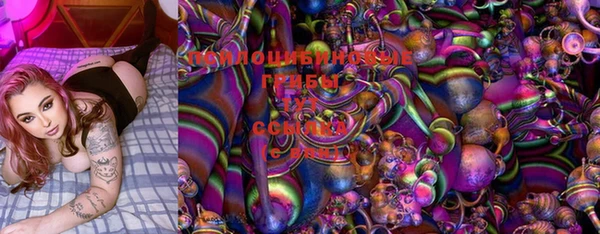 прущие крисы Лабытнанги