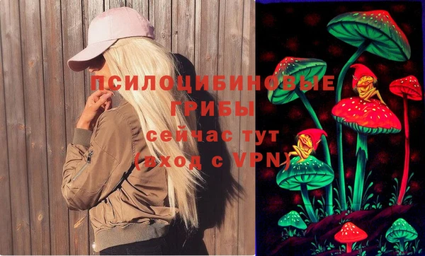 мдма Ладушкин